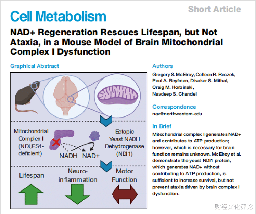 |突破：美西北大学证实，走上人类货架的NMN使平均寿命延长8倍