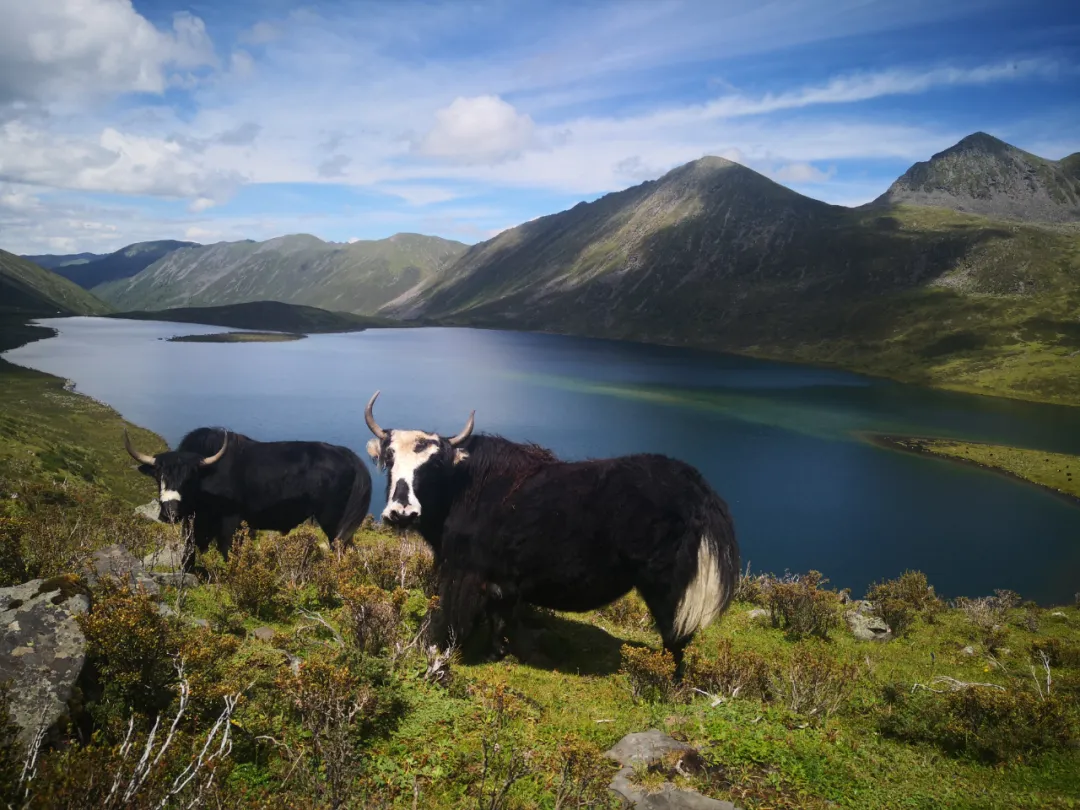 「川西」莫斯卡12湖，川西的海子究竟有多美？