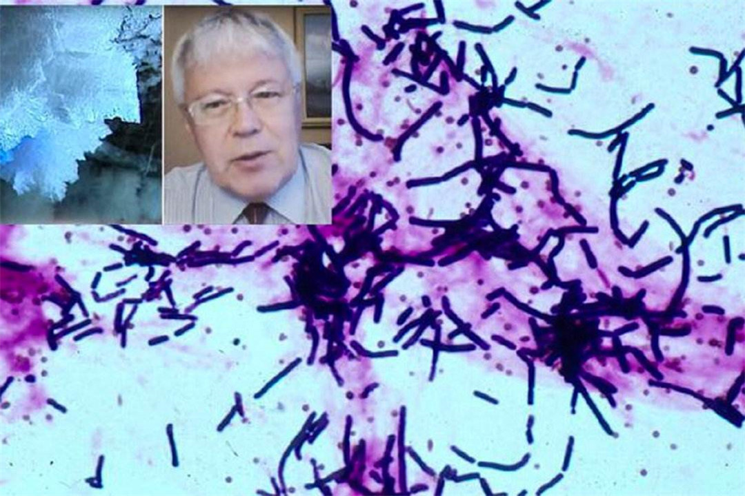 科学家|猛犸象中发现350万年前细菌，科学家和女模特相继注射，结果如何？