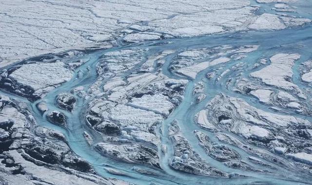 『科学家』科学家警告说：“大规模灭绝”事件，可能再次发生