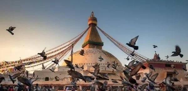 |为何火化尸体时炉内会有“哭声”不是封建迷信，是有科学依据的