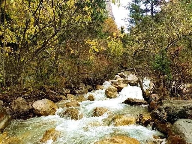 甘南|走过盛夏,甘南的秋天,又是另一个五彩斑斓的世界!