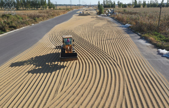 越南■多个国家禁止粮食出口，我们该怎么办？