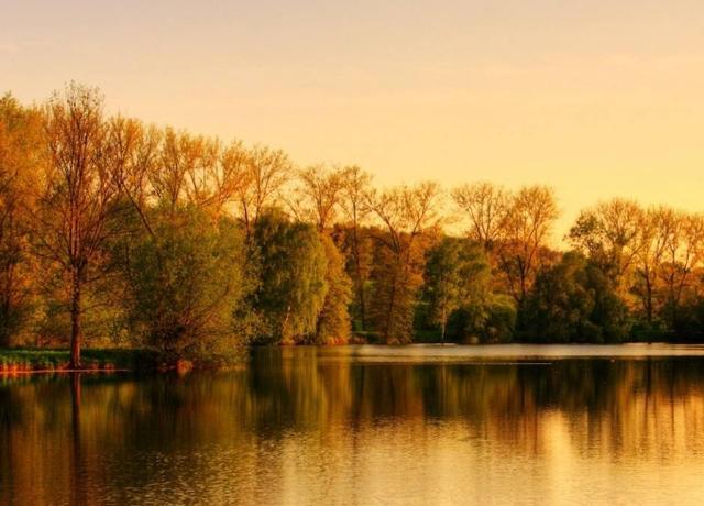 处女座|2020工作中能得到贵人相助的4个星座,机会来了要把握住