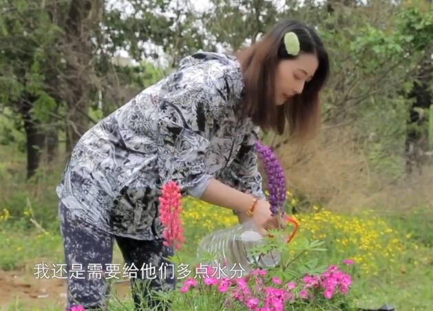 『周海媚』54岁周海媚独居北京 坐拥超大菜园 坦言不需要找个男人来碍手碍脚