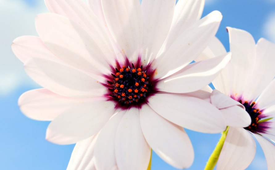 柳暗花明|千万别和这些星座男谈恋爱，心眼实在太小，一定要避开！