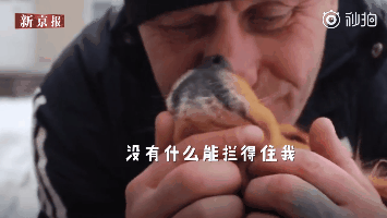 “生病住院，最放不下我的是我的狗”