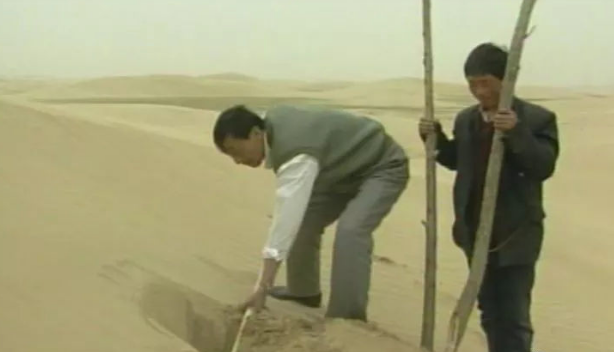 毛乌素沙漠：这块不毛之地，快被中国人消灭了