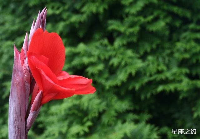「」在7月下旬，好运驾到，信心十足，未来可期的三大星座