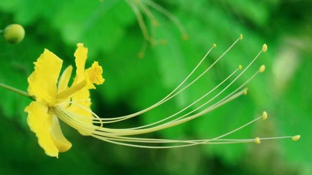 天蝎座|懂得主动谦让，很大方的星座，潇洒豁达，心里有大智慧