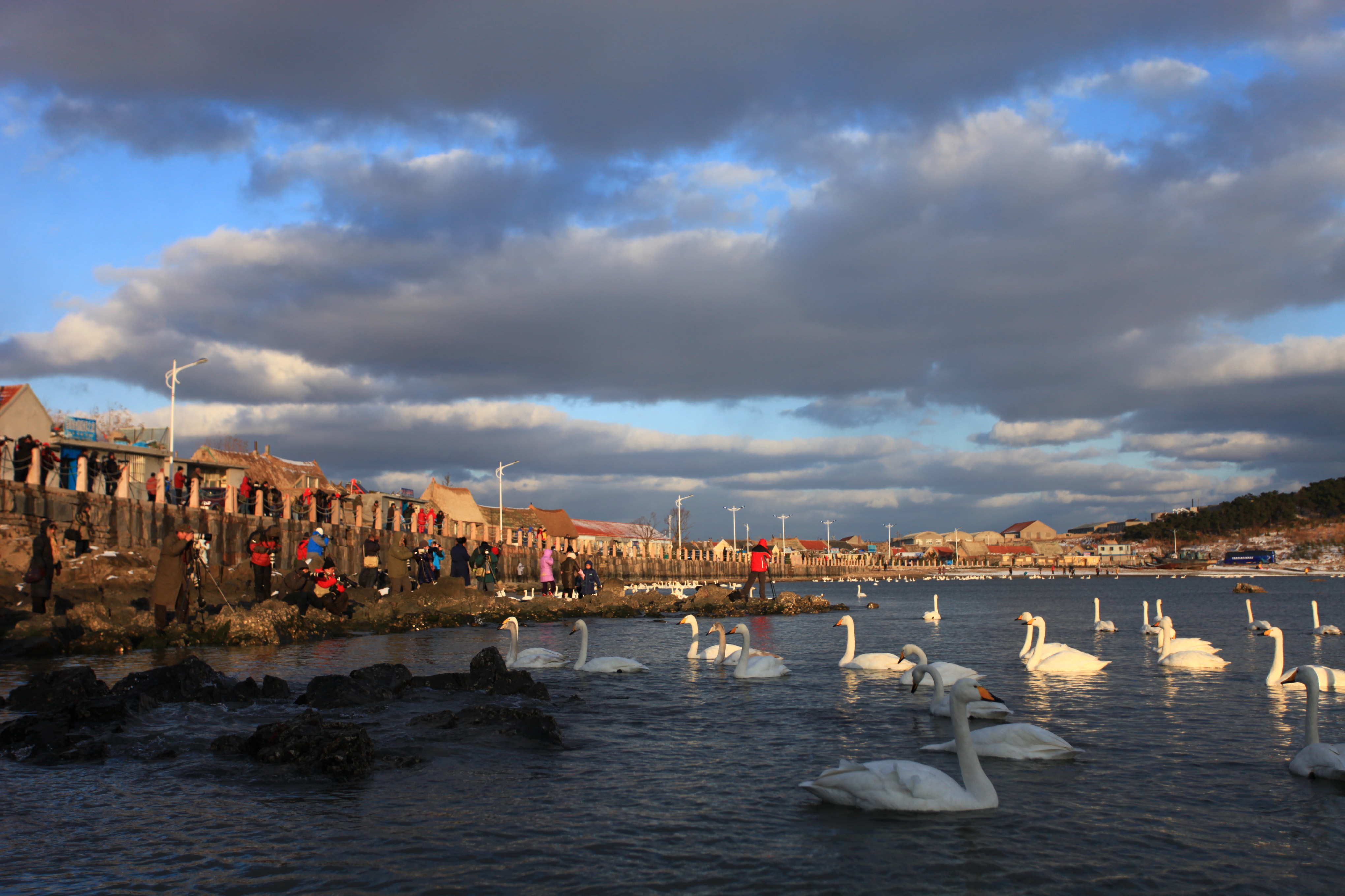 大理■中国最适合养老的4个城市，退休后带上老伴儿去住，享受惬意时光