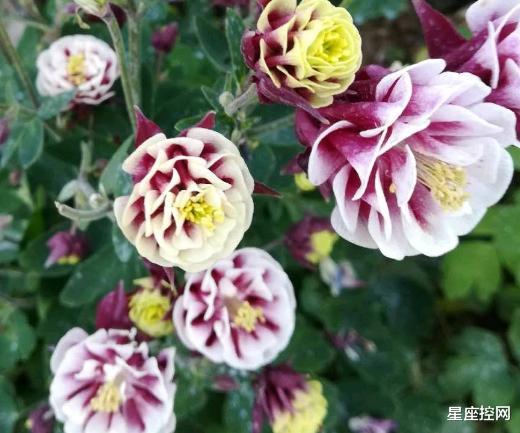 |哪些日子出生的人，9月起，职场之路变顺利，有贵人暗中相助！