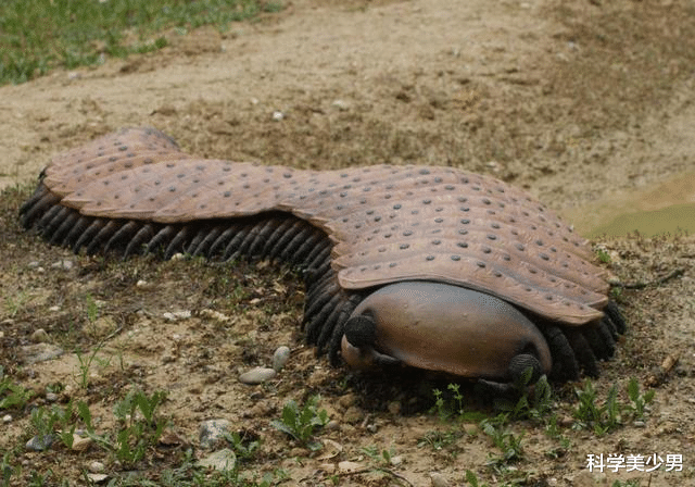 科学家|地球没有人的时候第一个人是怎么来的？科学家是这么回答的