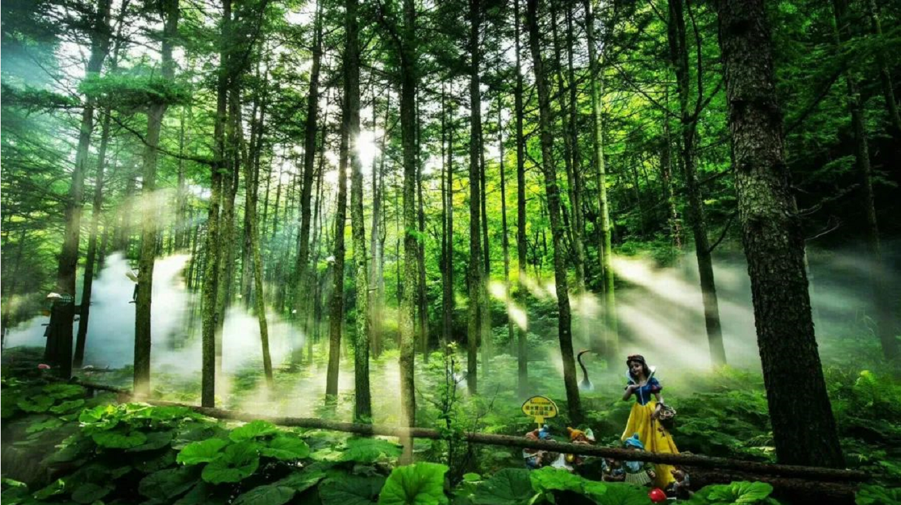 龙峪湾|国庆节!河南这个4A景区,对全国游客免门票