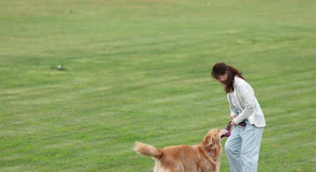 穿衣搭配|周海媚发型选对了！双马尾配印花裙减龄大方，54岁仍有少女感