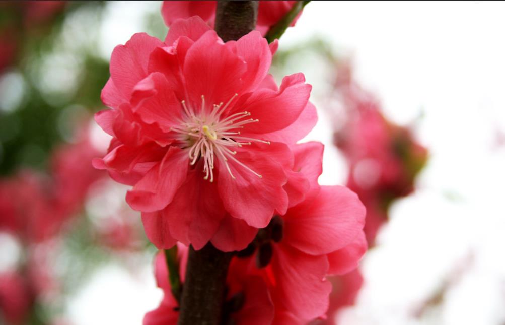 #属蛇#蛇蛇人:6月25号买彩票最容易中大奖,快过来看!别把机会错过了~