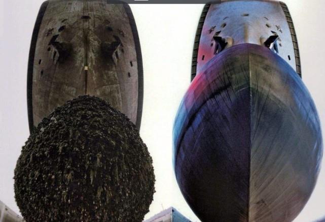 辽宁舰|“辽宁舰”刚回国，船底就发现大量黑色物质，专家看完十分气愤