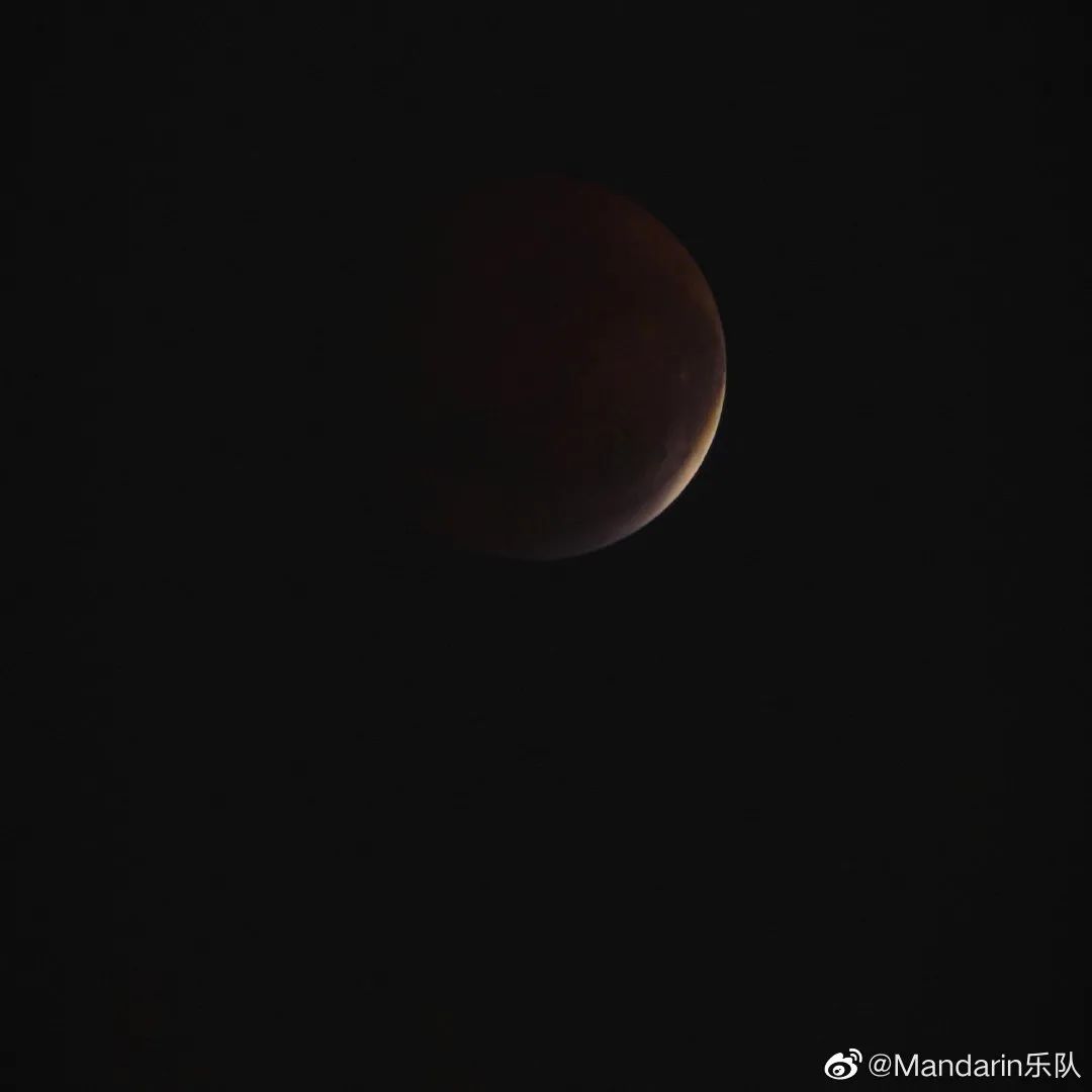 五条人|乐夏2刚开播,我就迷上了这些乐队的视觉设计!