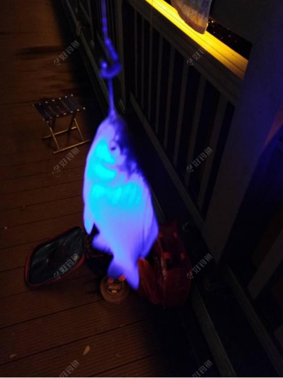 饵料|雨天垂钓---钓鱼人的浪漫情