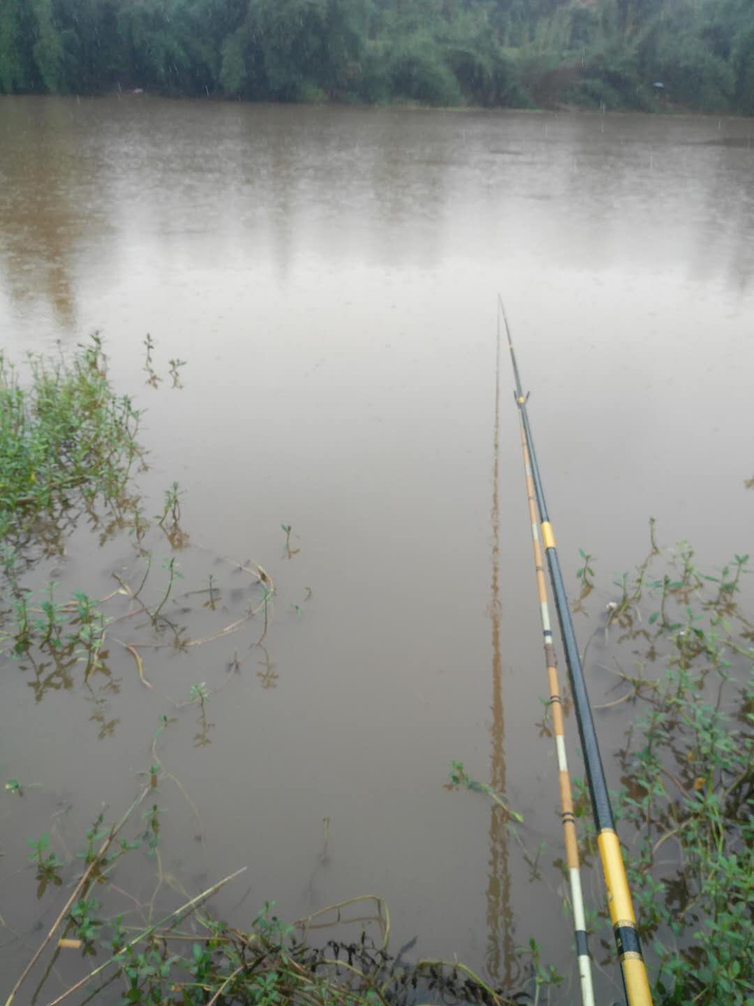 钓鱼|流水、小杂鱼多、可以这样钓