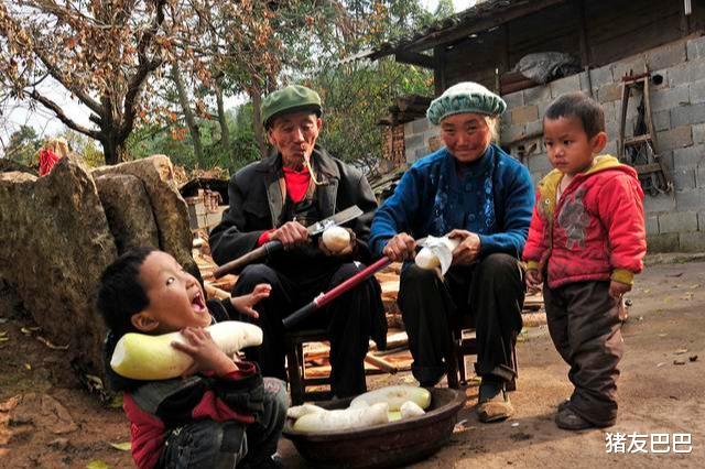 猪友巴巴|拉尼娜75%将至，今冬偏冷还是偏暖？专家给出预测，农民早了解！