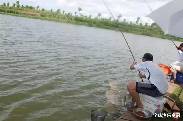 【】夏天一到，鱼就难钓？碰到两种天气，够你狂拉一整天