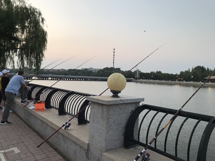 |海边作钓楞蹦鱼，钓获不知名鱼种，放流归家