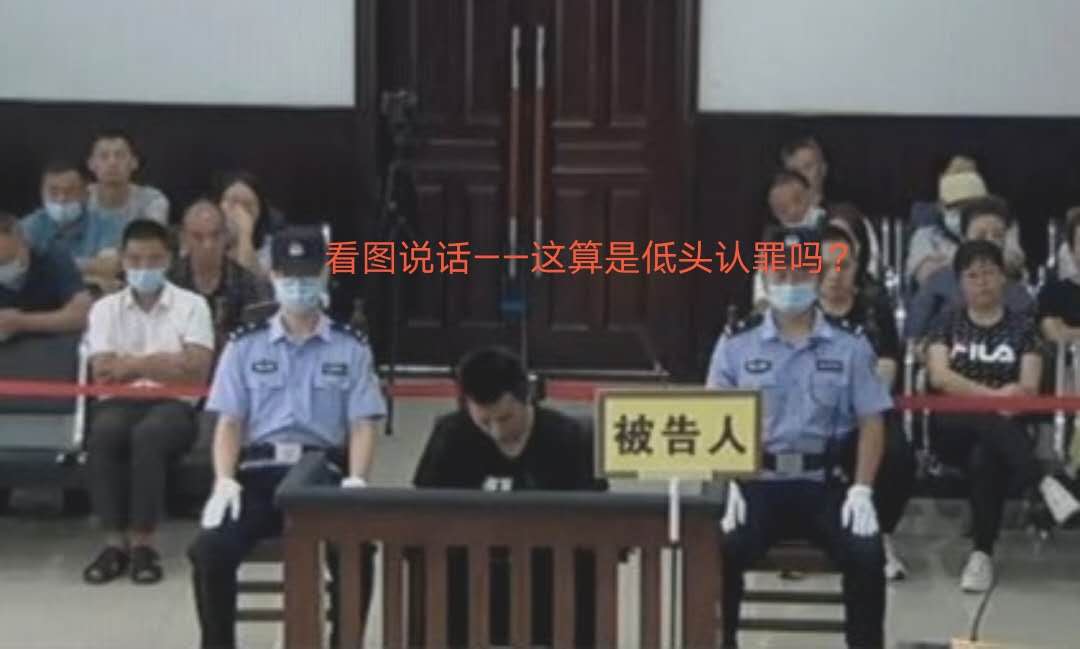 沈彬的花衬衫|看了9小时庭审录像，谭松韵母亲案是被带节奏了吗？