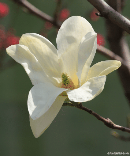 吉星|未来三个月，4属相吉星庇佑，翻身迎富贵，前程一片辉煌