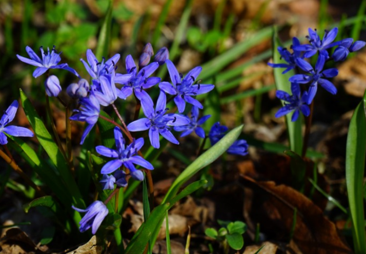 生肖|十月中旬开始，好运多多，福运满满，财运挡不住的生肖