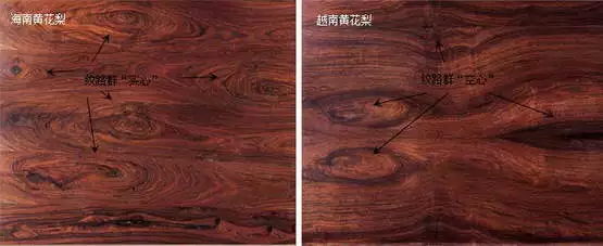 海南黄花梨|海黄与越黄到底如何区分？