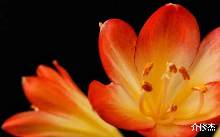 生肖|九月中旬,喜鹊带好运,事业遇贵人,生活霉运消散的4大生肖