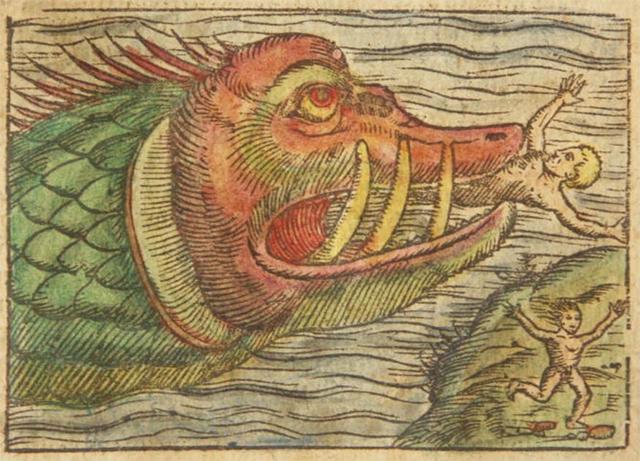 考古学家|史前“海怪”被打捞出水，在丹麦皇家旗舰沉船中埋藏500年