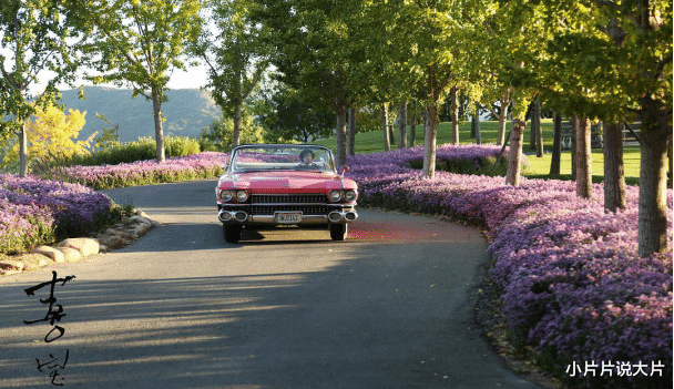 徐克|从什么时候开始，平凡生活已经等于“走投无路”了？