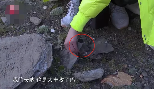 极限挑战|一个节目的底线在哪？《极限挑战》惹怒14亿人