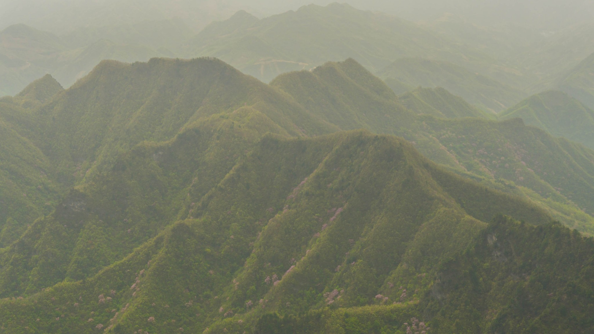 秦岭|隐藏在陕西秦岭中的4A景区，雾绕青峰仿佛置身仙境，世人很少知道
