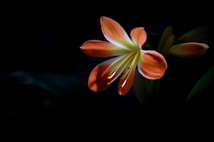 白羊座|9月份起，一旦爱上你，就一辈子也忘不了，真爱至上的4大星座