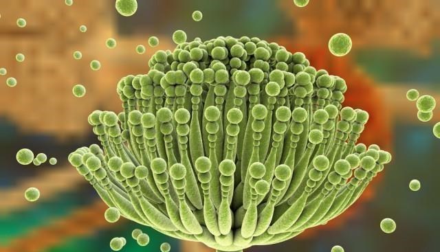 肝脏|最伤肝的“水果”发现了,不少人当成宝,成袋往家扛,早知早受益