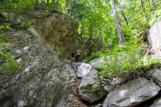 秦岭：秦岭沣峪大坝沟：是个好地方，有森林有高山瀑布，而且游客还不多
