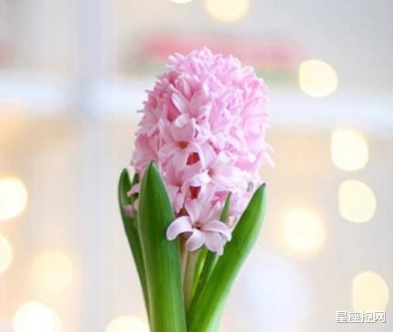 「」几月出生的人，贵人从未离开他，生意有众人光顾，事业有高人指点