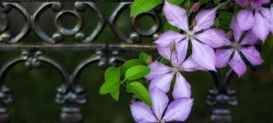 #射手座#思想深刻,眼光长远,这些星座善良纯真,早晚会化茧成蝶