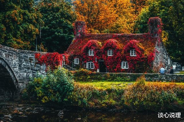 [生肖]两周后，桃花运爆棚，邂逅良人，3星座携手相依，此生难舍难分