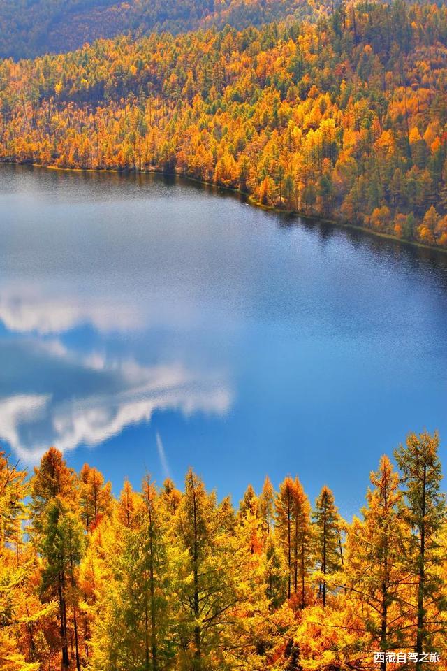 自驾|最适合秋天出行的4条自驾路线，每一个都是上帝的私藏，美爆了