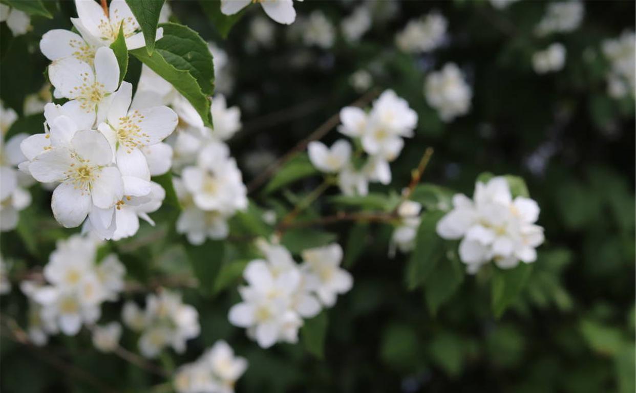 天蝎座▲7月一见钟情,桃花爆棚,坚贞不渝的爱情绝不变心的3个星座