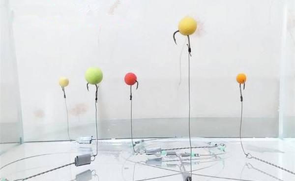 四川省|什么是反向离底钓?虽不常用,但钓鱼效果好