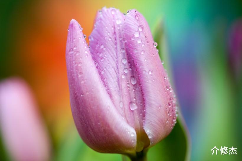 运势▲7月开始，月老催姻缘，桃花运逆袭，喜逢真爱喜脱单的4大生肖