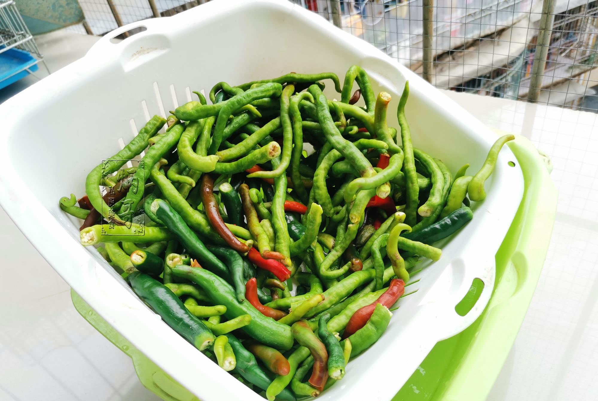 辣椒|今日白露,遇到此菜必买10斤,冬天吃它驱寒气,腌上几罐慢慢吃!