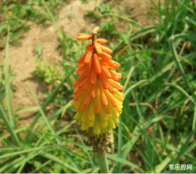 |哪些日子出生的人，做事果断干脆，效率高，年底业绩翻倍