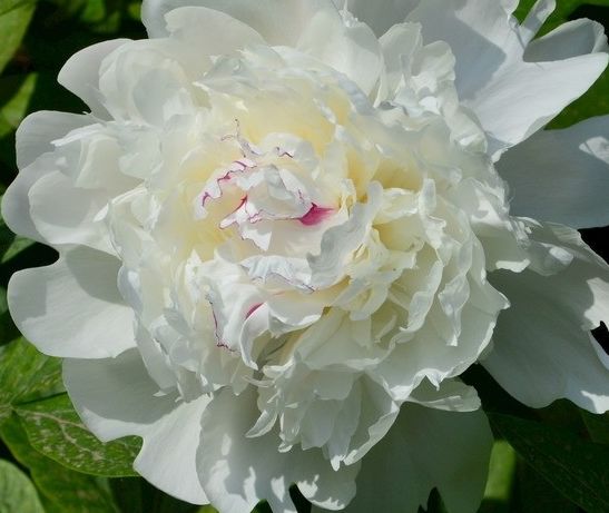 运势|步入9月，运势红红火火，4属相财源滚滚，生活水平蒸蒸日上