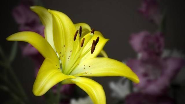 人际关系|善良但有锋芒的星座，很少在人际关系上吃亏，有自己的个性